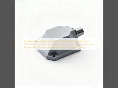 বিস্ফোরণ প্রতিরোধী মোটর সিলড শেষ কভার আইপি 66 সুরক্ষা গ্রেড স্টেইনলেস স্টিলের শেষ কভার ধুলো প্রতিরোধী জলরোধী মোটর আনুষাঙ্গিক কাস্টমাইজড বিস্ফোরণ প্রতিরোধী উপাদান